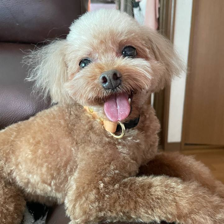 5c0f4b86 6613 4063 ae52 155f0a67d003 1752903990201