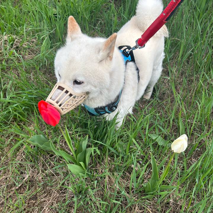 5c0fc2ab e3ae 449b a8e7 41102bba02dc 1683580295622