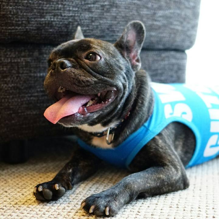 5c0fd0b3 0401 42ba 8bf1 ae9fa80e07c4 1529811399754