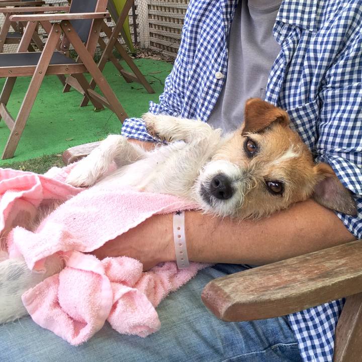 5c100d50 93b7 41e2 9aa4 418bc49d1142 1559047702210