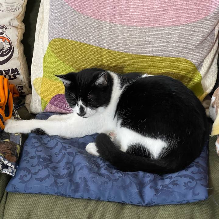 5c101cde 29f2 4405 a81c cb3acc9e71df 1754703850546