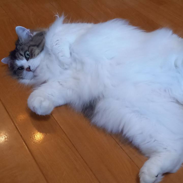 5c104745 a5c4 4170 af5f 06ae80ef5a41 1690924714815