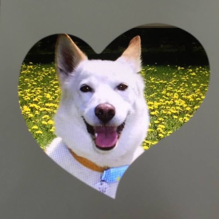 5c104cad 043e 4a8b 9476 af8597856eac 1562148258525