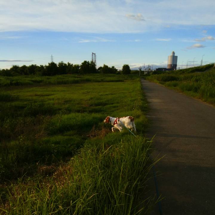 5c10515b 7048 4544 bfb7 0d51f4591431 1534764903661