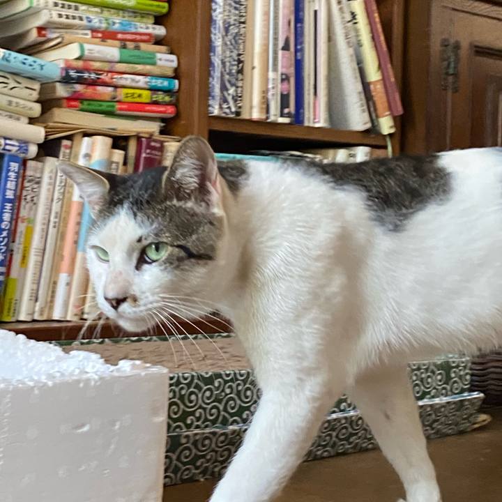 5c105598 dc2c 4c9c 87cc 0ce69ba4b0d1 1598451055707