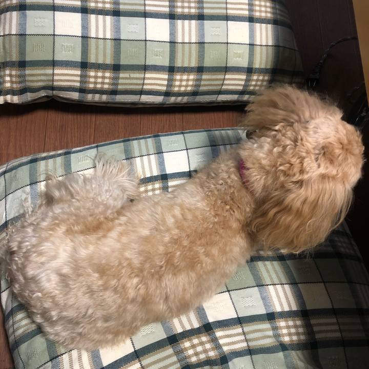 5c106433 5672 4cf8 8160 fa063acea9a1 1609534342780