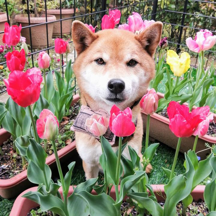 5c10b2b4 7c29 46c5 a720 a6f9a449600d 1587515949049