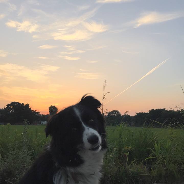 5c10c40e 237e 49c8 aafe 0cbbe1cafcdb 1533935420082