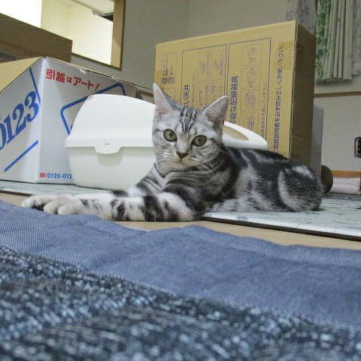 5c10f711 21fc 440e b1a5 b6b5c4273022 1537709130149