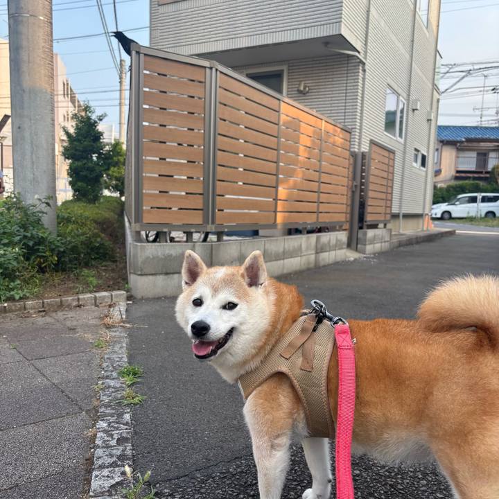 5c1103b3 365e 47f7 a614 359e9df6f368 1751574344018