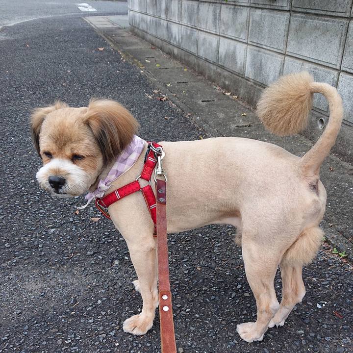 5c11151e 05da 418e beb7 6b0e00c8adf2 1559599032241