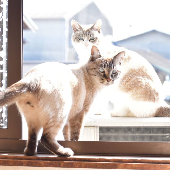 5c11429b b45a 443d 960c 0ea69ee3e838 1518845329079