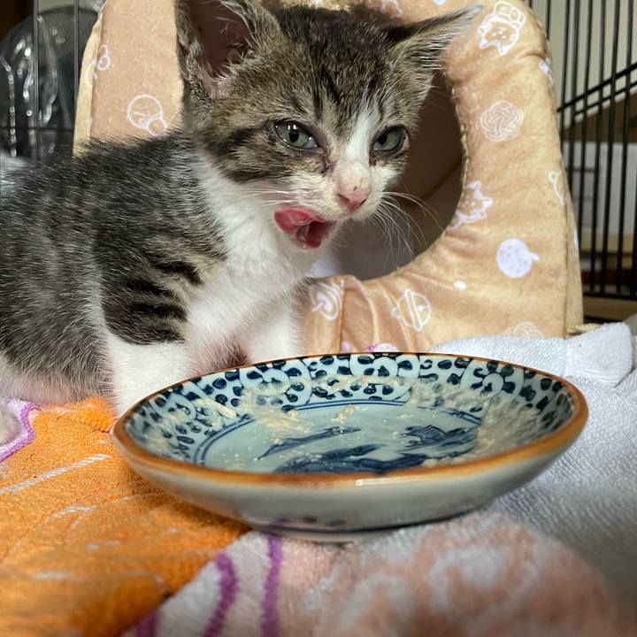 5c114bdd 5159 44f6 a9eb 721b264cf99e 1720244989064