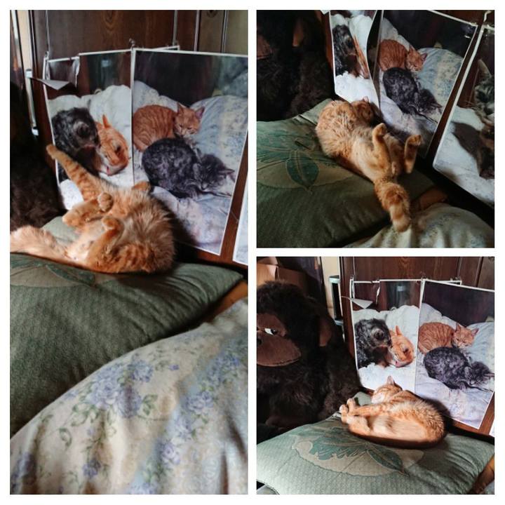 5c115373 d6db 4ffe b4e1 fc946073650c 1657092976013