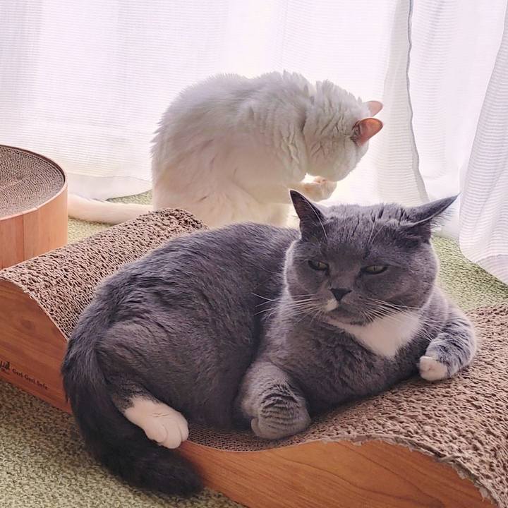 5c11ec1f a470 4309 8f71 6c86916c85e0 1665276812731