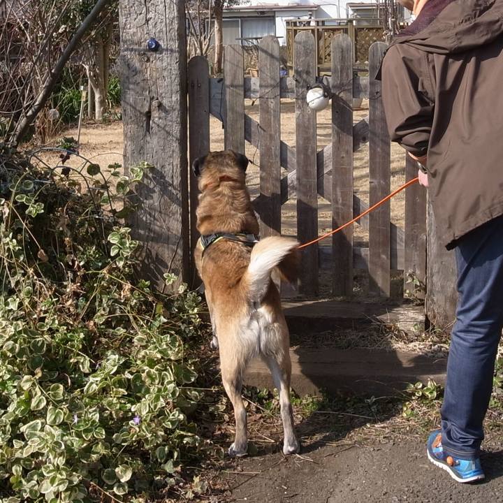 5c11f9f5 8989 4701 b7be bfd180e865fb 1584665484783