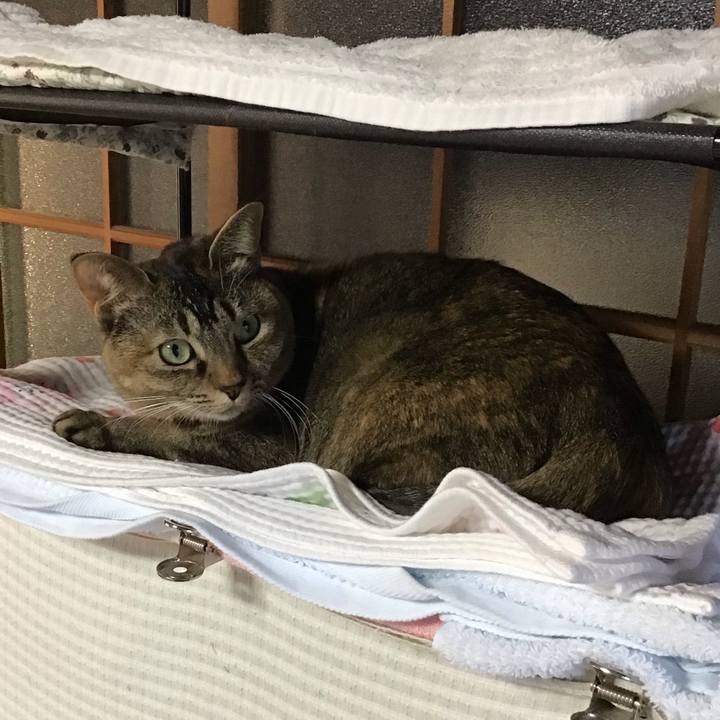 5c122ff0 3f3e 4567 8035 3d0490fbd643 1636276512409