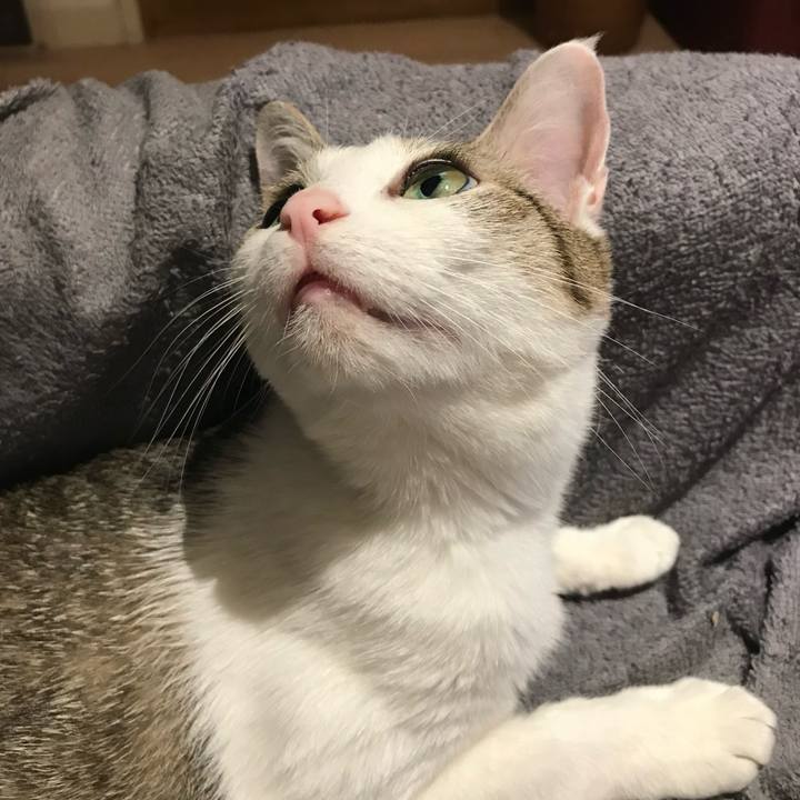 5c123ae6 ad55 4e3e 8ae1 afd34ba0a493 1659480343686