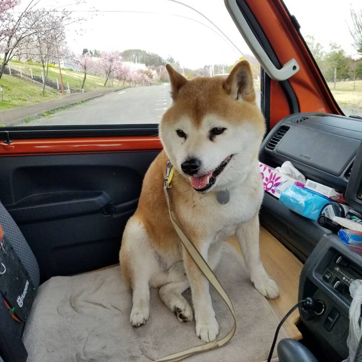 5c123d5f 0d66 4bd5 8bd6 3667a60cb6e0 1650615068413