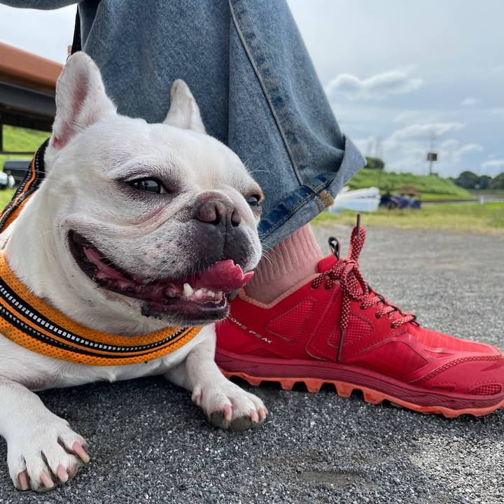 5c124dbc 48e3 471b b15a e34804b4c881 1727487276706