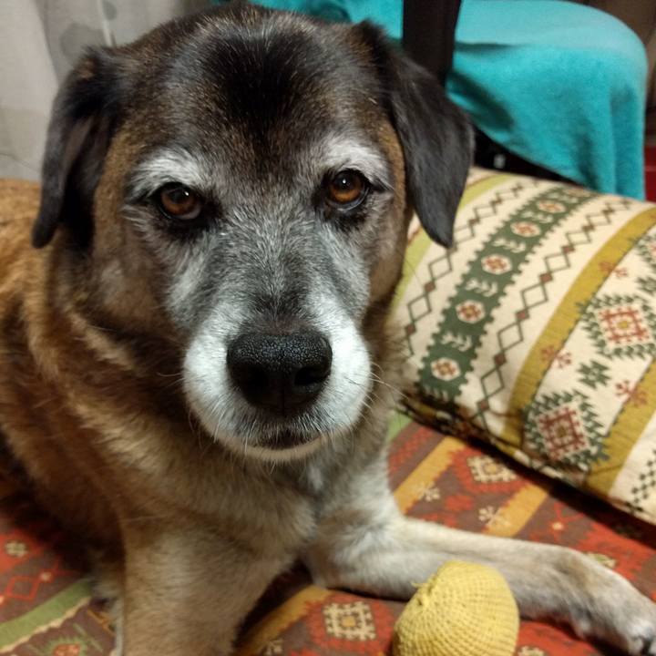 5c1256ff 99b1 41e2 a81f 48b55064e36a 1510910504304