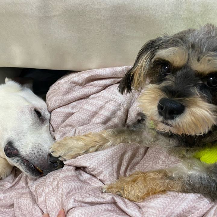 5c125b0e bbf9 4f0d 92e0 fd8477f21e57 1603317582607