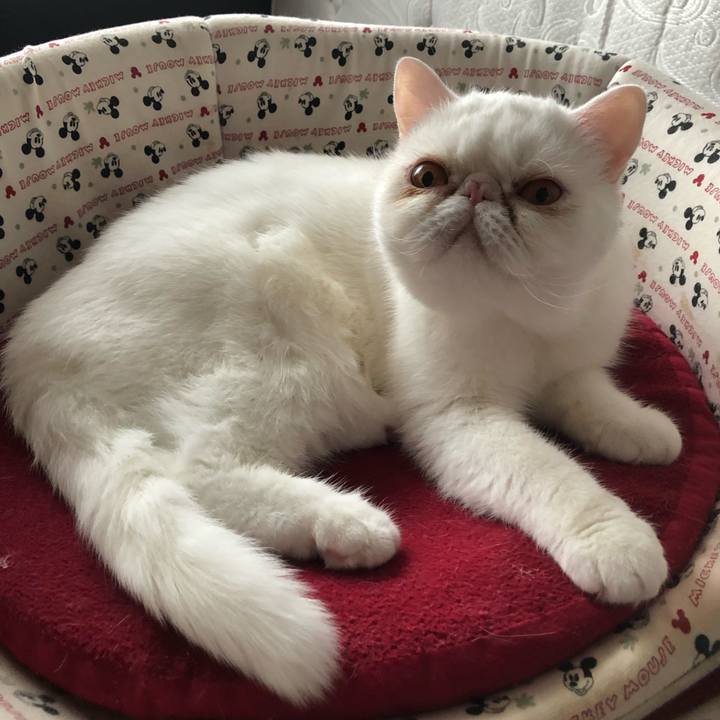 5c12648d 47ec 4a5c 9341 793c31cce36e 1624001217205