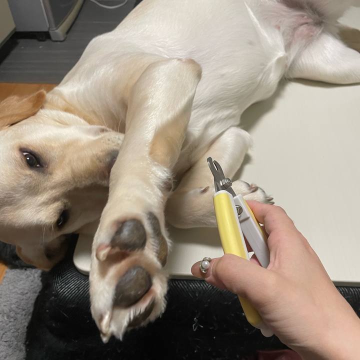 5c1266ef 94d2 4504 ab57 796988b147a6 1645102733340