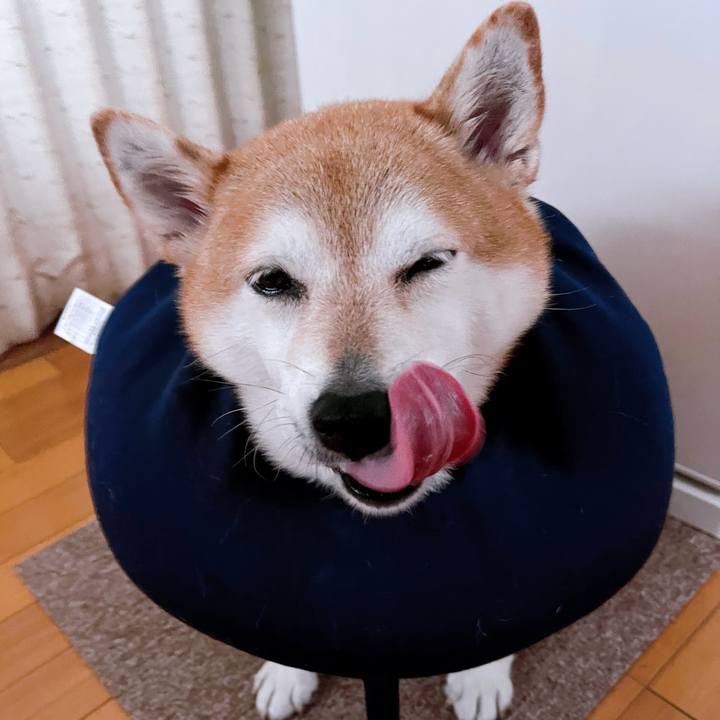 5c126cbb 810e 4453 9f28 664ed9c37b55 1696811466253