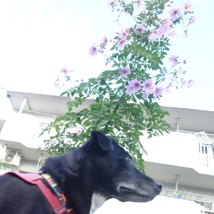 5c129223 cc9f 4326 90cb 040a503e6915 1700909718216