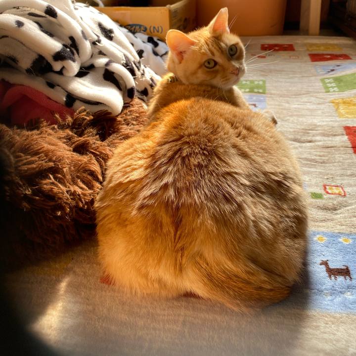 5c1299af 572f 4daa b935 156089bb2849 1737450706960