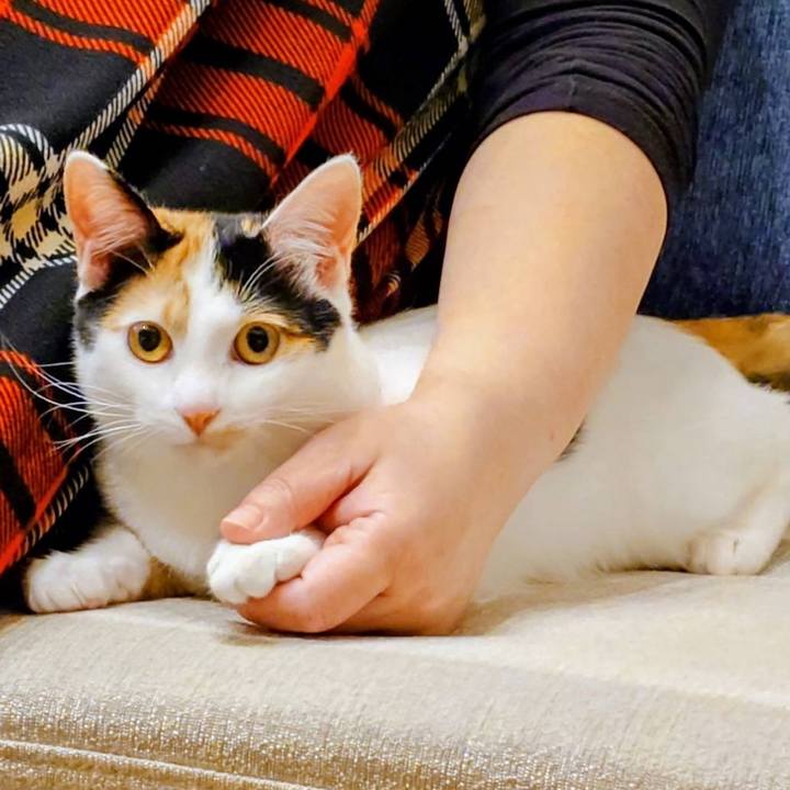 5c12a3e3 ab9f 4c50 aa53 eafc7933daea 1769240409847