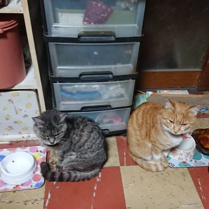 5c12bdcf 7c53 4ae1 92d3 15425fb188bb 1572897225118