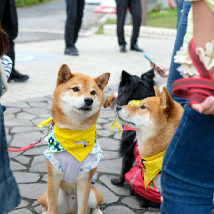 5c13023e f9b8 4a70 98bf fbd7fff7f84a 1560301801396