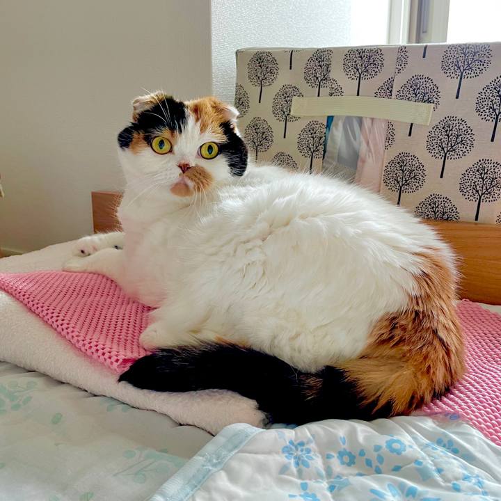 5c131e60 1c25 4069 98ee 6a7b21f26be8 1657793849046