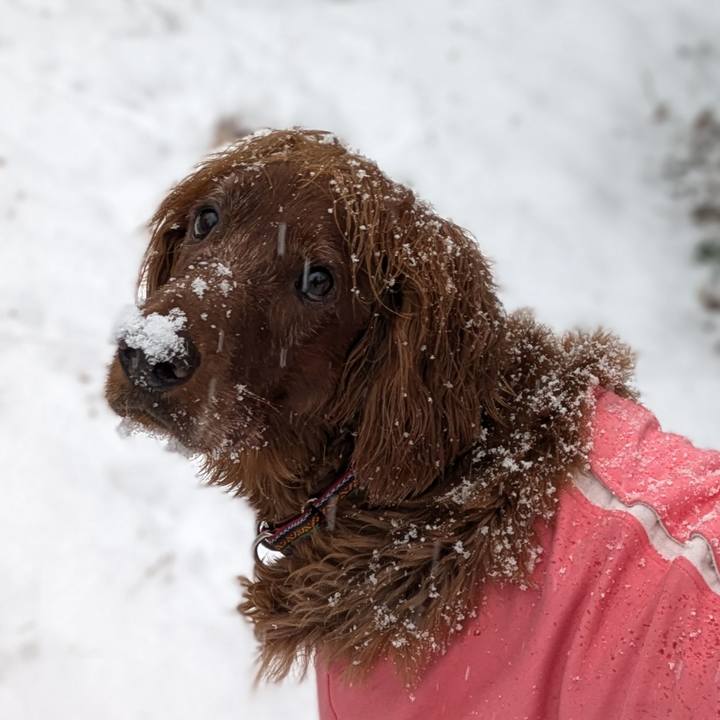 5c133f6b 1198 4863 a0dc a16963a84175 1765667155837