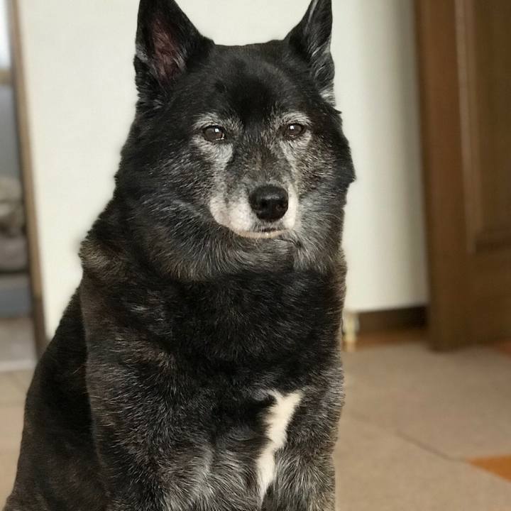 5c1349fb 0311 4d77 8cf1 1a5427c34577 1557630271956