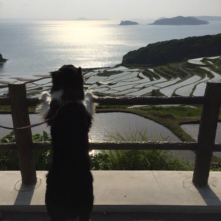 5c134cc0 1051 4cea 87e4 65c4a05ba120 1557149564113