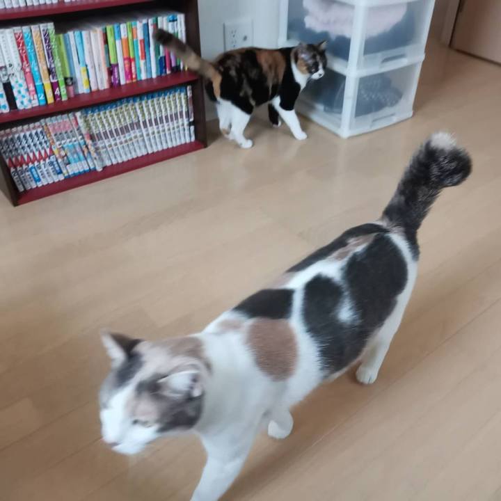 5c134e1f aeda 4a4f 9b20 4ddcf45b4c50 1620722354078