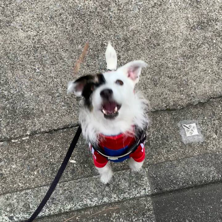 5c13ba79 5ebd 4ffe bfd1 43ede27af93b 1669853062285