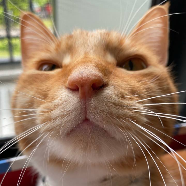 5c13d787 ef59 40d6 91cd 61e1247b4538 1620476143652