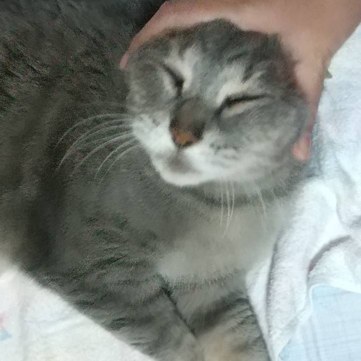 5c13d876 484b 4fda bd29 ac4a9e84d9ee 1654609258942