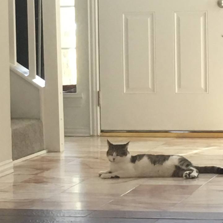 5c140bff 43cc 4e92 9d1a 59d7861da22f 1651800672354