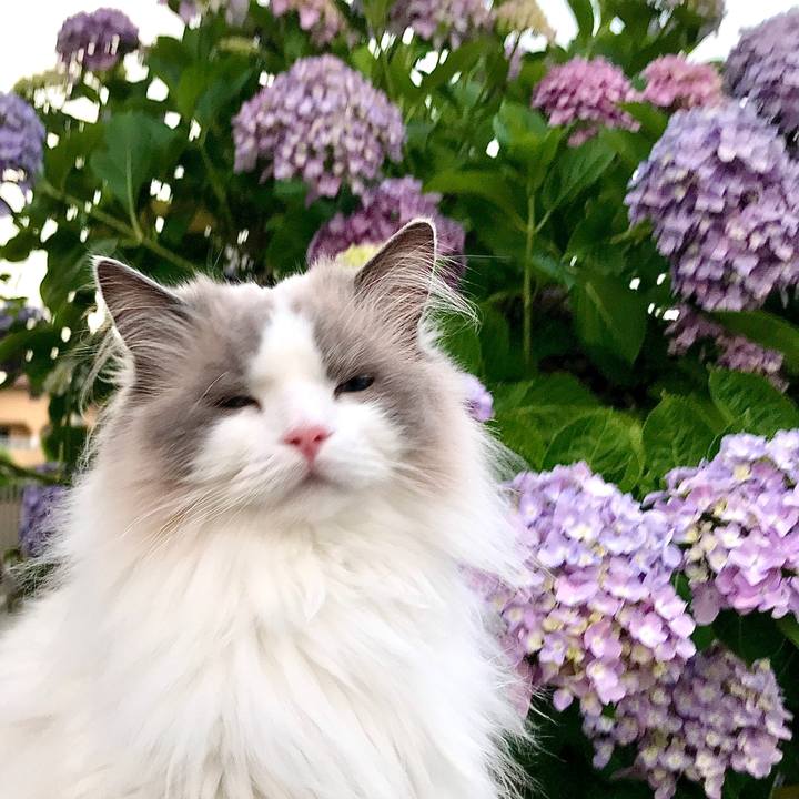 5c1429a1 6869 427f 9423 8466e465dc95 1591700514041