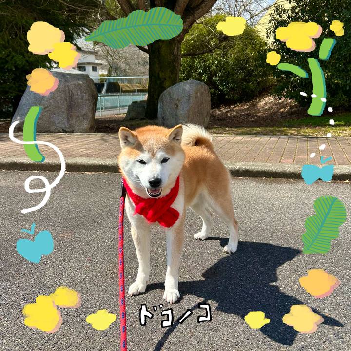 5c142d30 2e10 4710 9289 e435a564417a 1744282309519