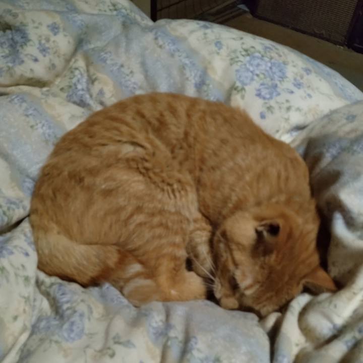 5c14735f ac9e 484d b4cc 96fb960c64fa 1663677551380