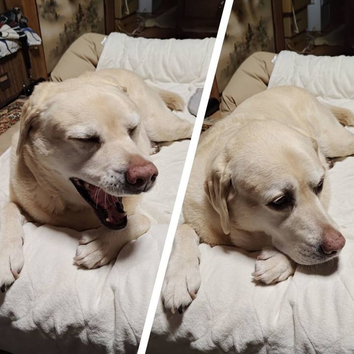 5c147e3a c8ba 4bae 8227 494c5baf9779 1765946998260