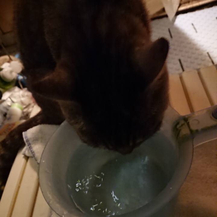 5c149c54 07fd 4c0a a709 6ca7f29f6d65 1568542854462