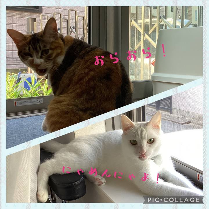 5c14a076 8504 475d b6d6 12dbbe74cd9e 1656804849148