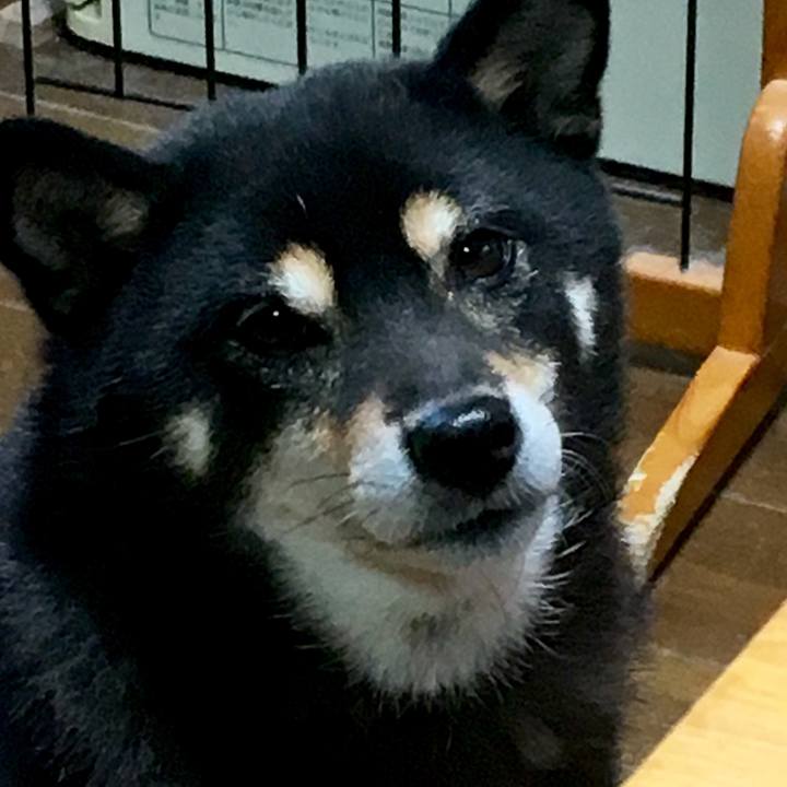 5c150647 ac2d 46d0 9714 304bb6957804 1563790623916